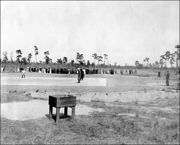 Pasture to Pinehurst image 5