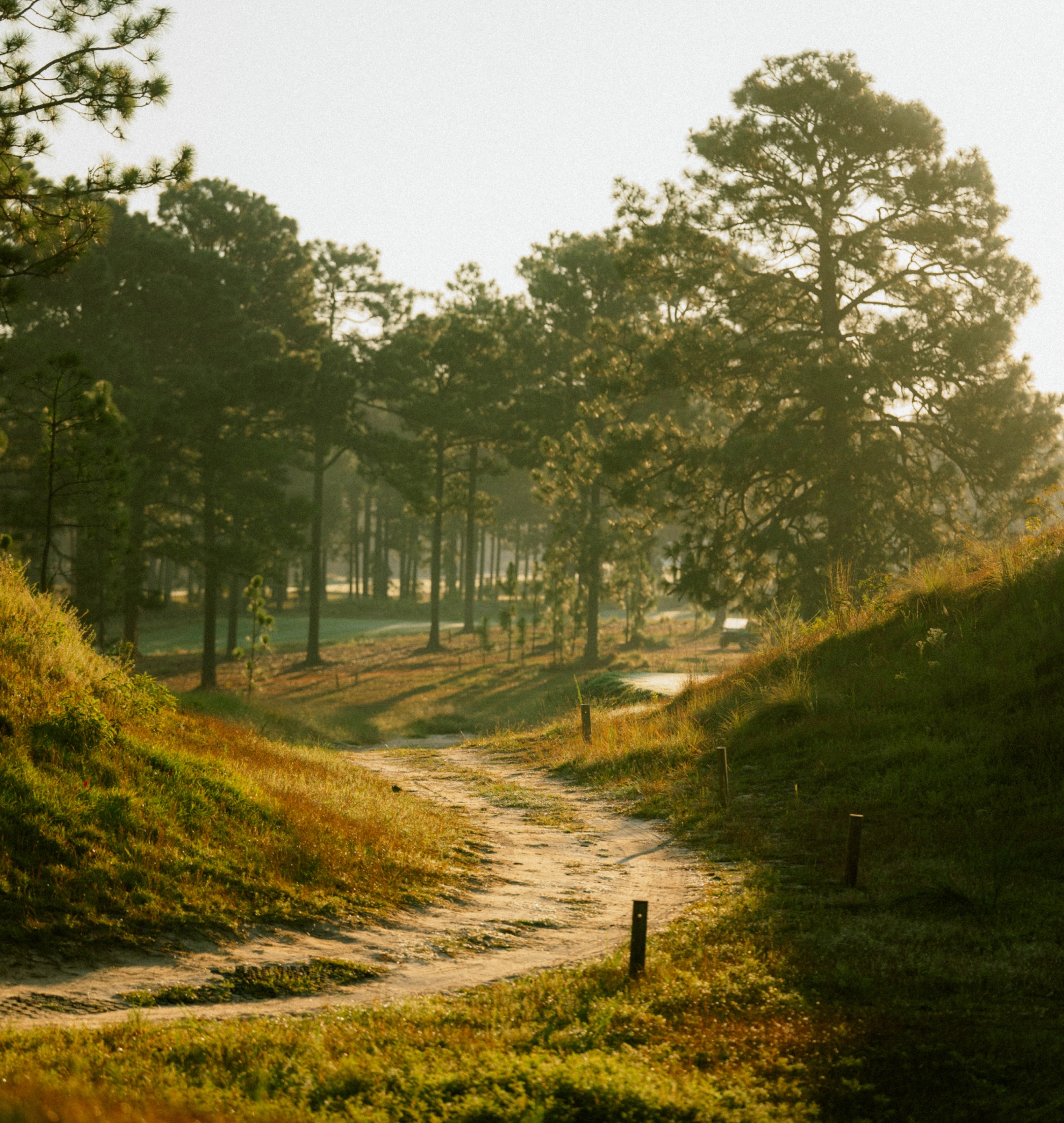 course10-linework-bg1